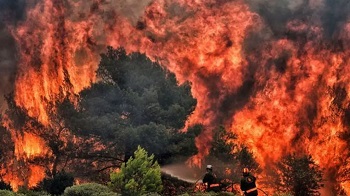 Incendie-foret-Grece-dAthenes-24-juillet-2018_0