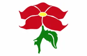 Gole-sazeman-WEBP-300x192