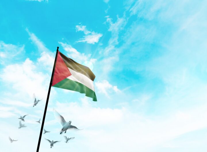 تصویر از Shutterstock