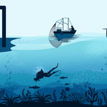 ocean economy