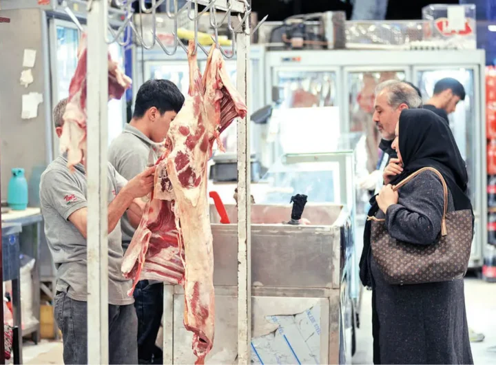 meat1