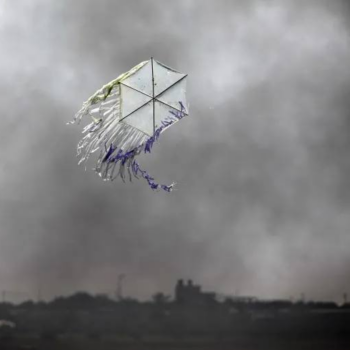 kite