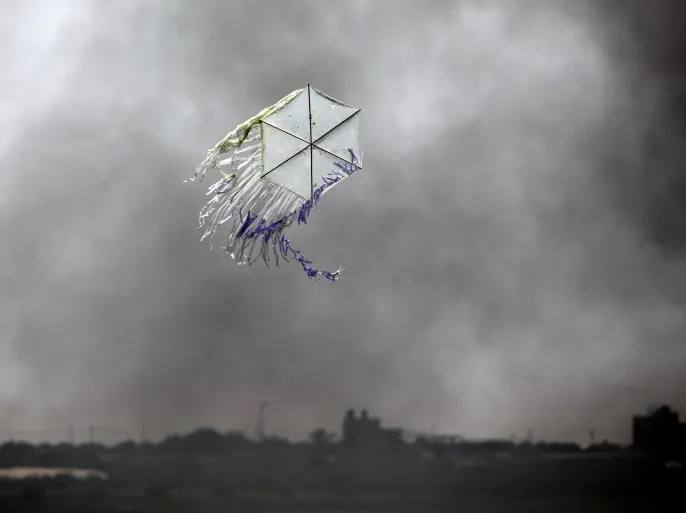 kite