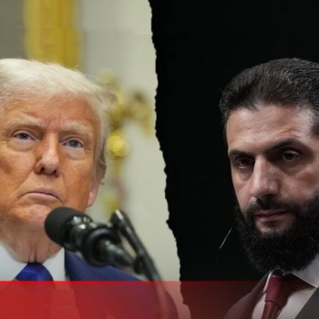 trump ahmad shara