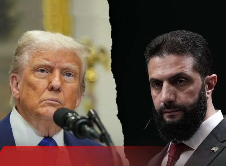 trump ahmad shara