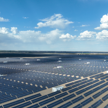 solar panels