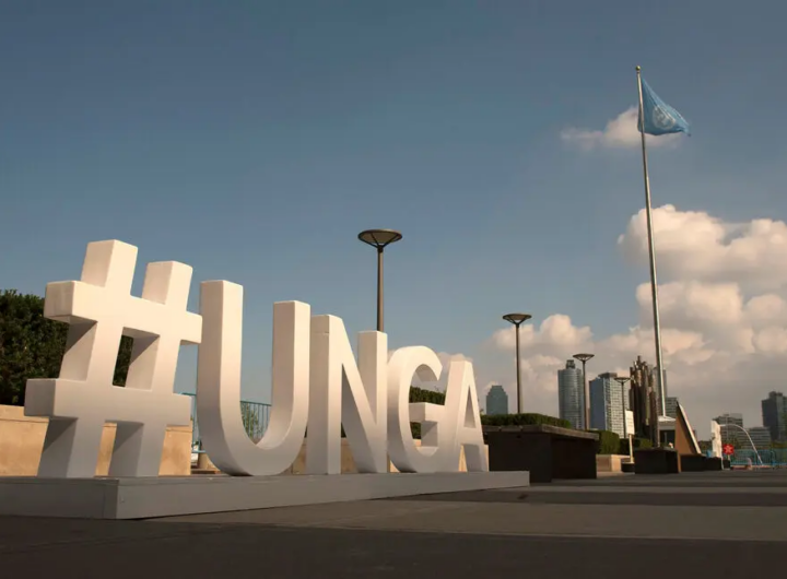 UN General Assembly