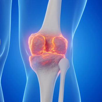 Knee Joint