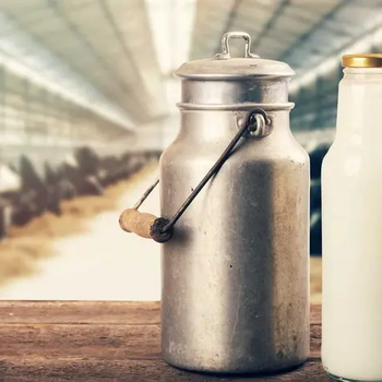 milk