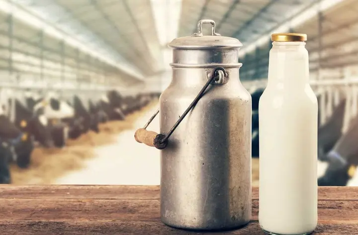 milk