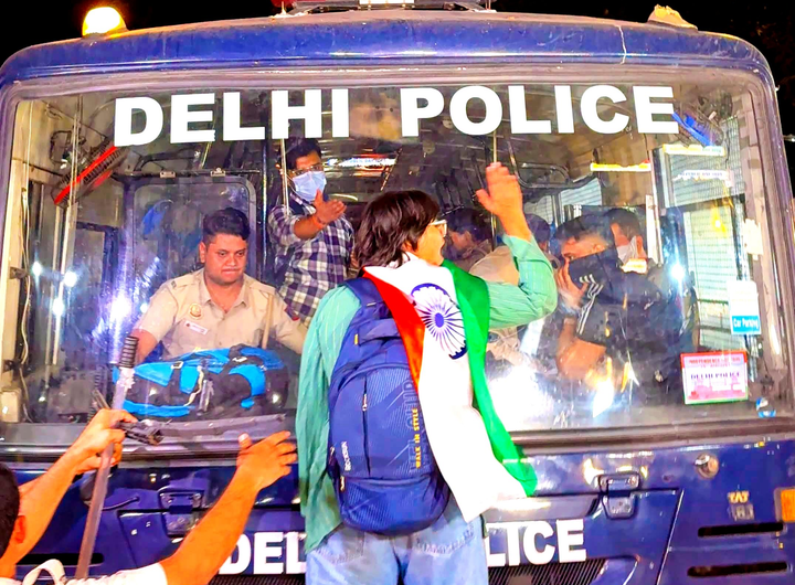 cockroach movement india